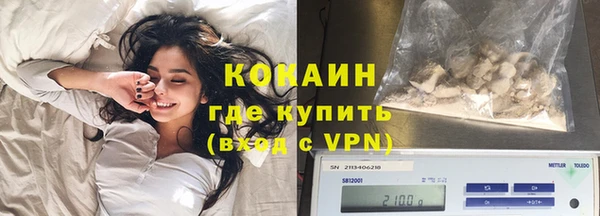 прущие грибы Покачи
