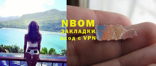 прущие грибы Покачи