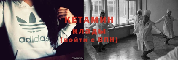 прущие грибы Покачи