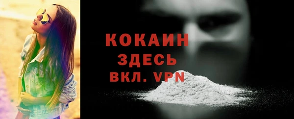 прущие грибы Покачи