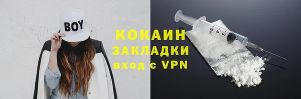 прущие грибы Покачи