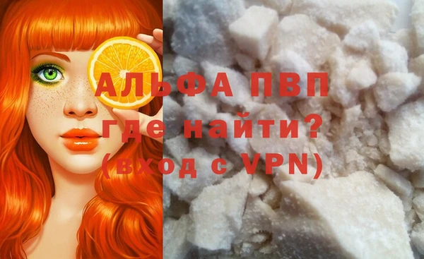 прущие грибы Покачи