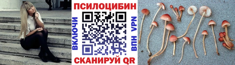 Купить где  Шали  Галлюциногенные грибы MAGIC MUSHROOMS 